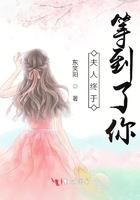 夫人已经走了 夫人已经走了