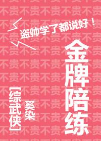 金牌陪练综武侠 金牌陪练综武侠