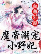 至尊邪凰魔帝溺宠小野妃至尊邪凰魔帝的小野妃