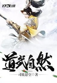 道武高速路线图