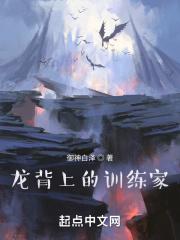 龙背上的训练家 龙背上的训练家