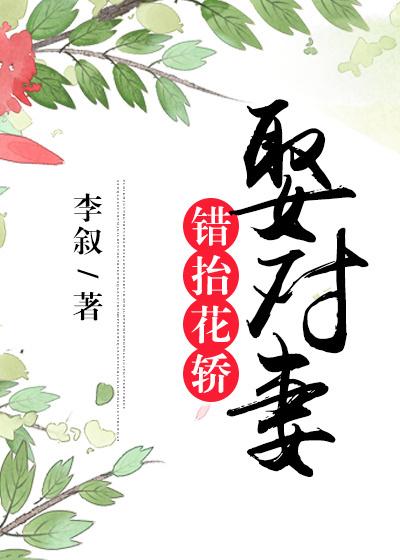错抬花轿娶对妻 错抬花轿娶对妻