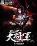 少年大将军 少年大将军
